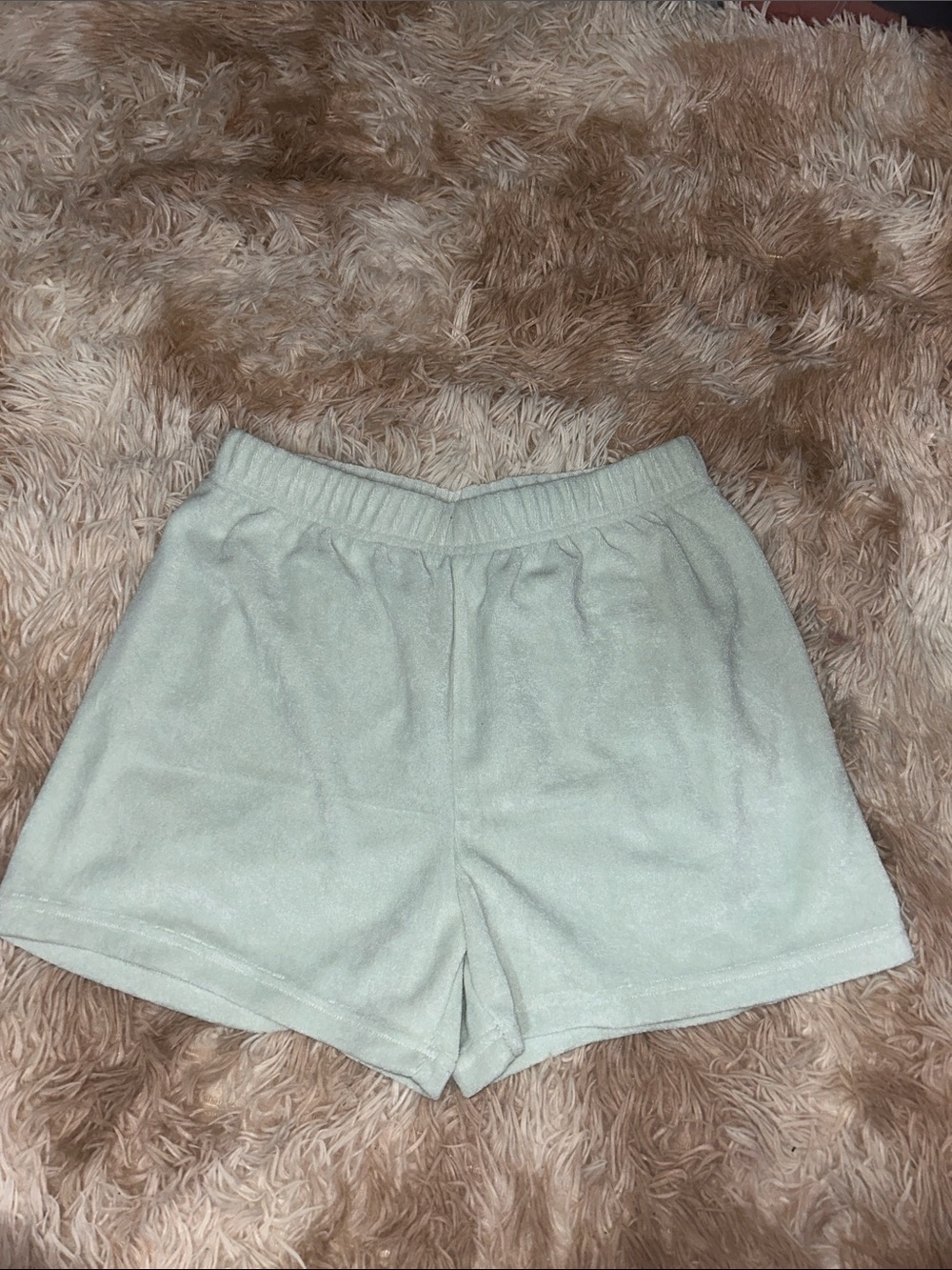 TNA Aritzia Towel Terry Shorts